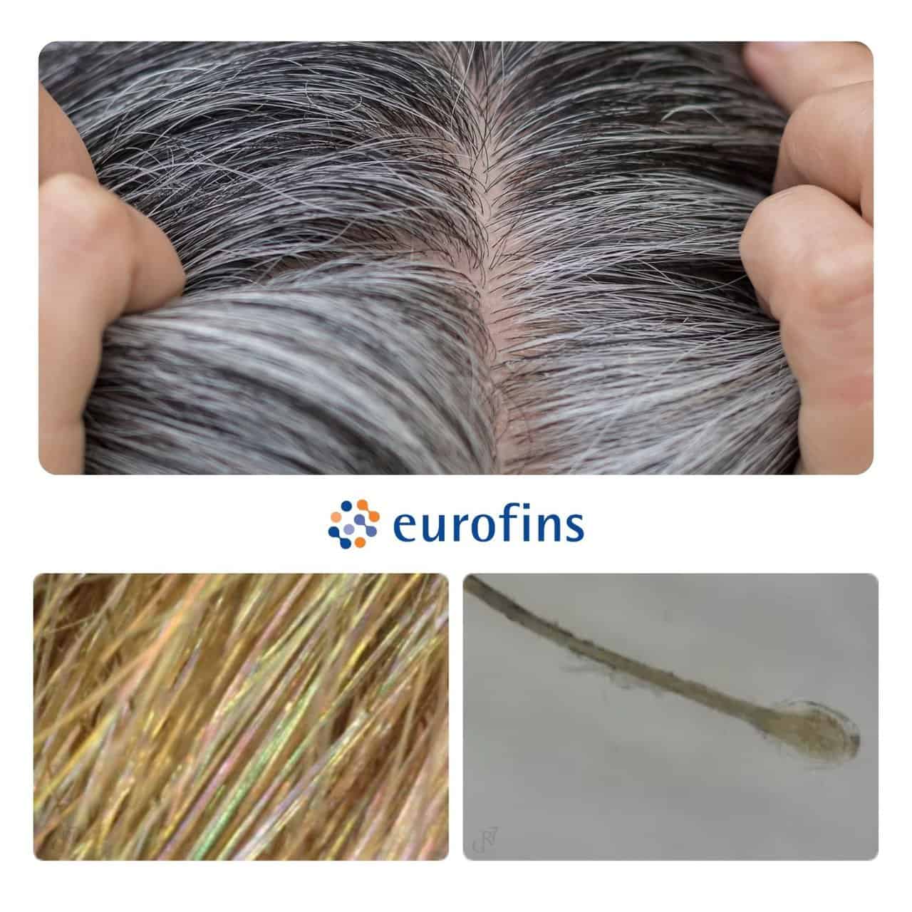 anti grey hair treatment effects of gr-7